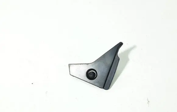 Rear/tail light trim molding