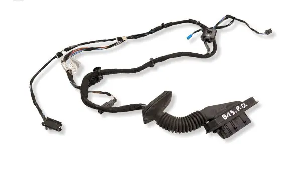BMW X1 E84 Front door wiring loom 9191808