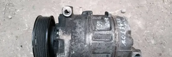 Volkswagen Phaeton Air conditioning (A/C) compressor (pump) 7SEU17C 20051100007 3D0820301