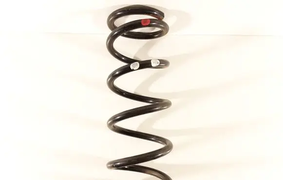 Nissan Murano Z50 Rear coil spring