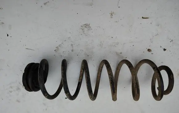 Rear coil spring