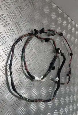 Chrysler Grand Voyager V Other wiring loom P04869818AD