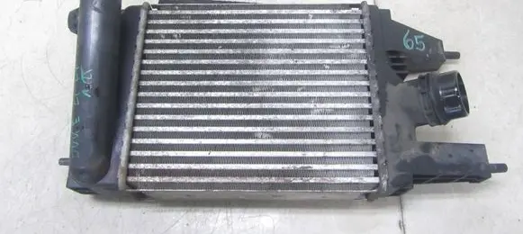 Nissan Juke I F15 Intercooler radiator 144613ZU0B