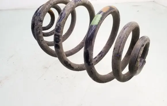 Volkswagen PASSAT B5 Rear coil spring