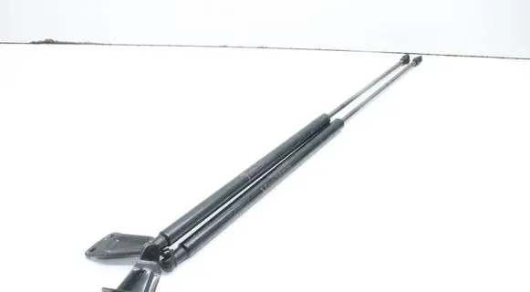 Nissan Juke I F15 Tailgate/trunk/boot tension spring 904511KA1B