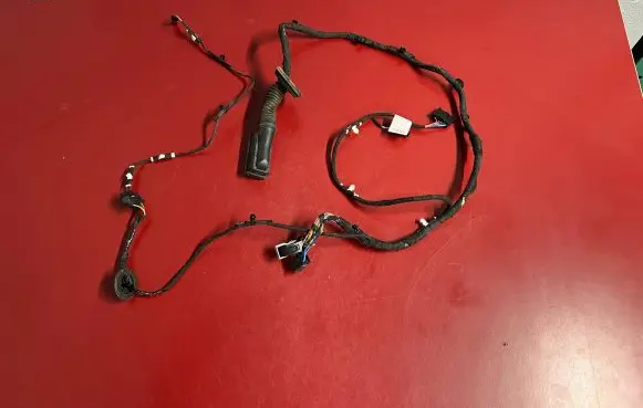 BMW X1 U11 Front door wiring loom 5A43565 5A43568