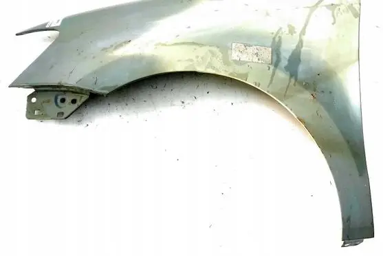 Volkswagen Cross Polo Fender 2206007