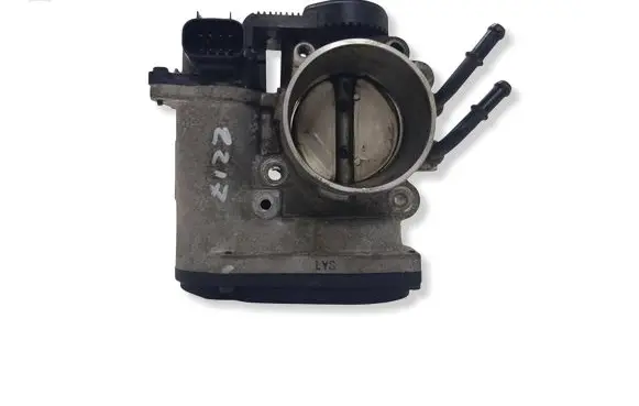 Hyundai Santa Fe Throttle valve 351003E100 17204615