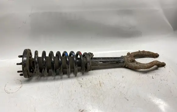 Honda Accord Front shock absorber with coil spring