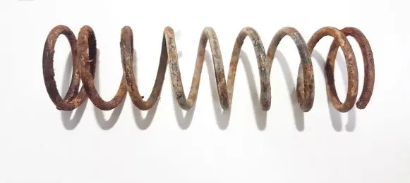 Ford Focus Rear coil spring