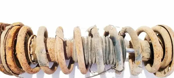 Volkswagen PASSAT B4 Rear coil spring