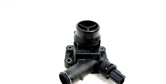 Thermostat/thermostat housing
