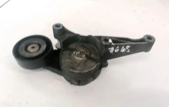 Skoda Octavia Mk2 (1Z) Generator/alternator belt tensioner AISI9CU3
