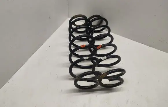 Rear coil spring