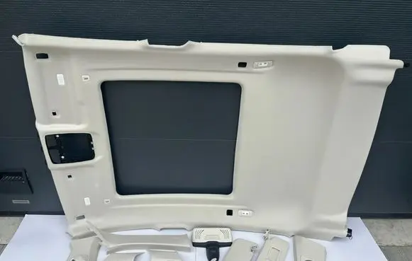 BMW X4 G02 Headlining 