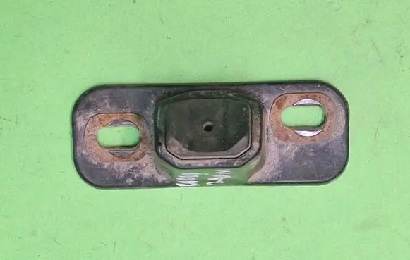Rear door check strap stopper