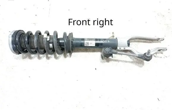BMW iX Front shock absorber with coil spring 6891992