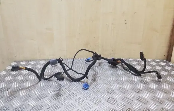 Other wiring loom