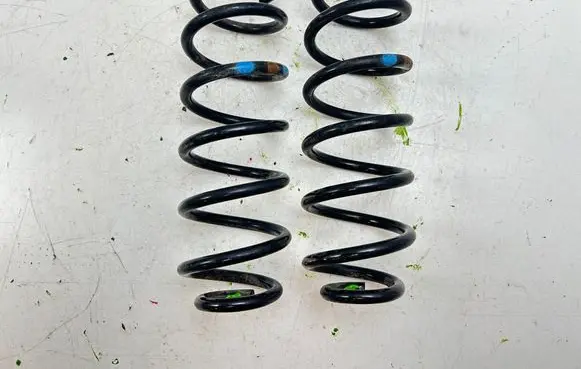 Rear coil spring
