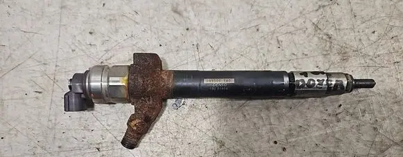 Peugeot Boxer Fuel injector 0950005801 10U01904