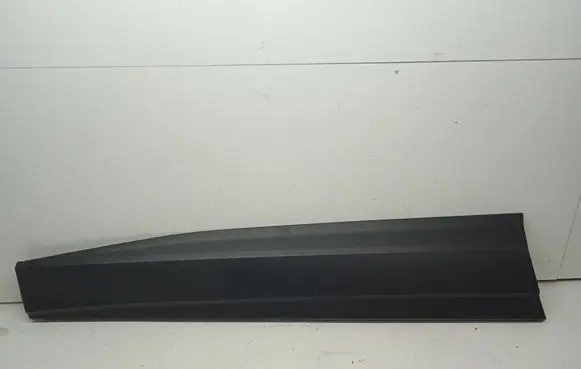 Front door trim (molding)