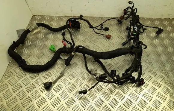 Engine installation wiring loom
