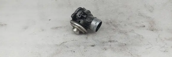 EGR valve