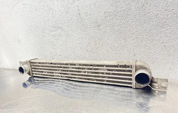 Opel Meriva A Intercooler radiator 52401015 WTP749