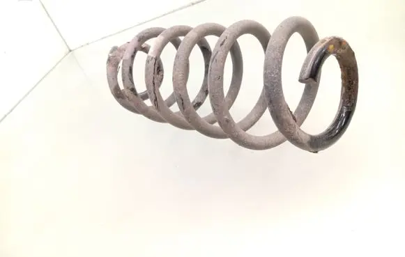 Rear coil spring
