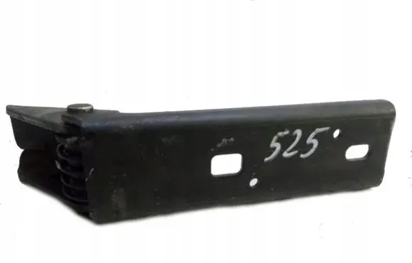 Renault Trafic II (X83) Front door hinges set 