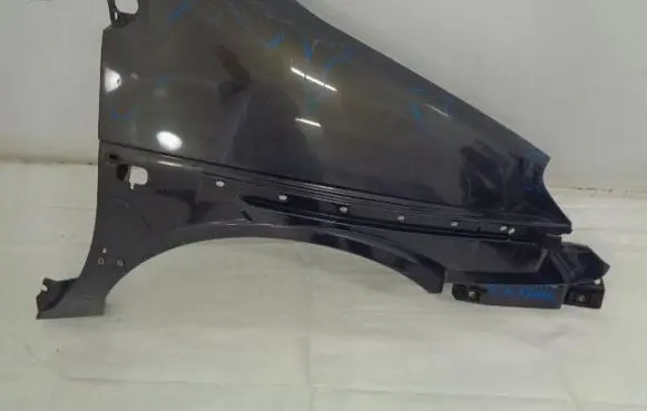 Renault Scenic RX Fender