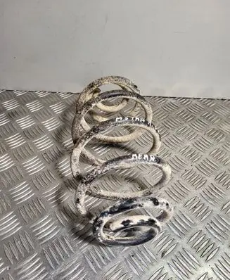 Rear coil spring
