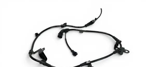 Hyundai Tucson IV NX4 Rear ABS sensor wiring 59796N9050 54931