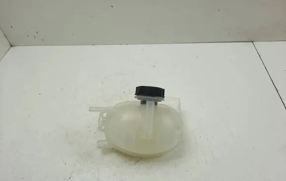 Ford Mustang Mach-E Coolant expansion tank/reservoir LJ938A080AC
