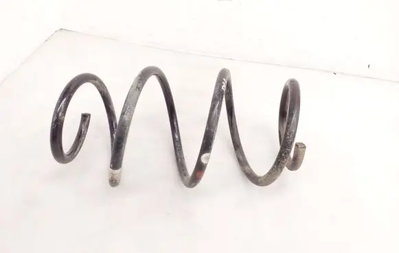 Honda Civic X Front coil spring 22310236