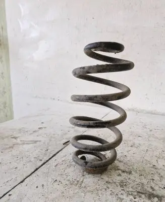 Rear coil spring