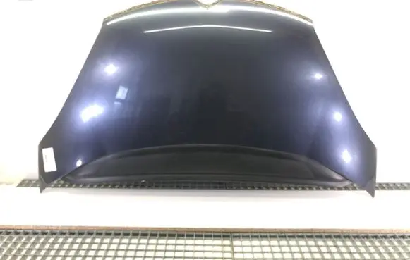 Engine bonnet/hood