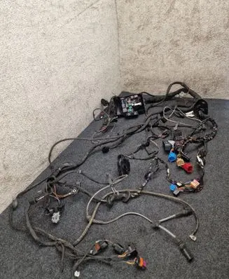 Cupra Born Wiring harness 1EA971566 650351059 1S0973026A
