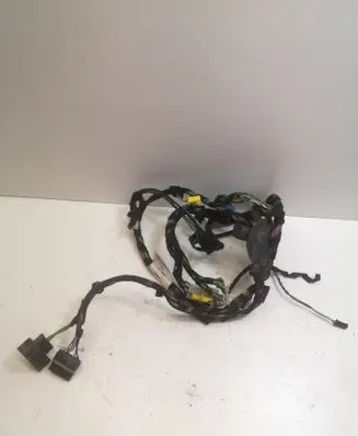 Mercedes-Benz S W221 Front door wiring loom A2215401913