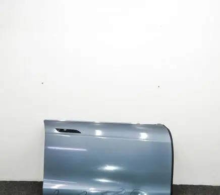 Tesla Model S Front door