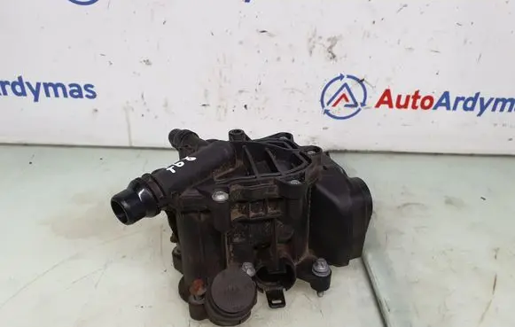 Thermostat/thermostat housing