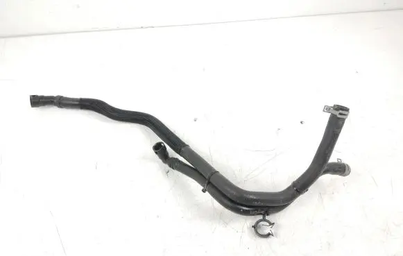 Ford Mustang Mach-E Engine coolant pipe/hose LJ938B555CA