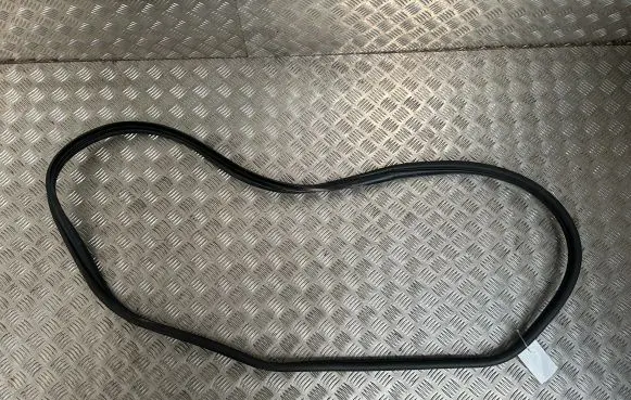 Rear door rubber seal (on body)