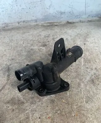 Nissan Juke I F15 Thermostat 