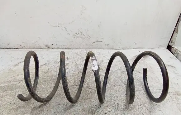 Front coil spring