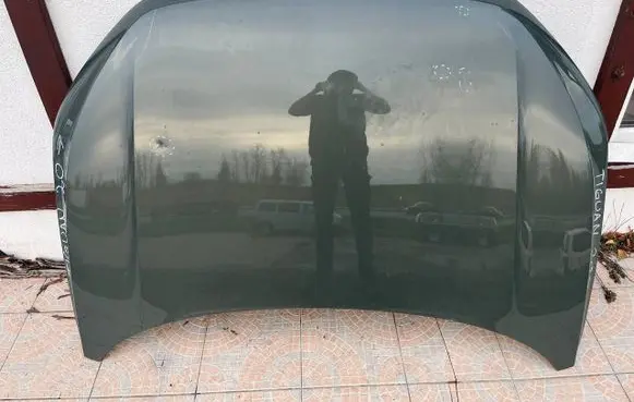 Engine bonnet/hood