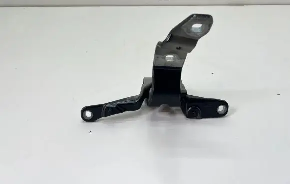 Tailgate/trunk/boot hinge