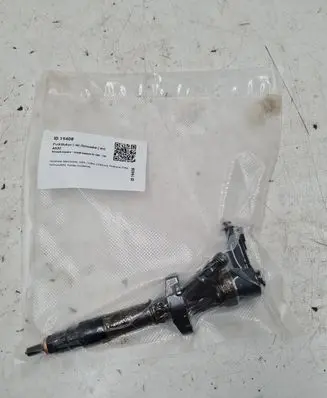 Renault Espace - Grand espace IV Fuel injector 8200034534