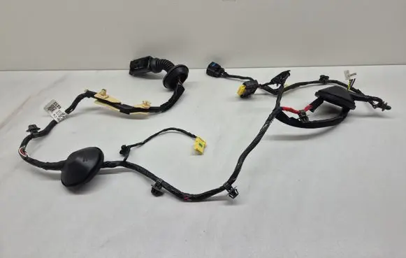 Rear door wiring loom