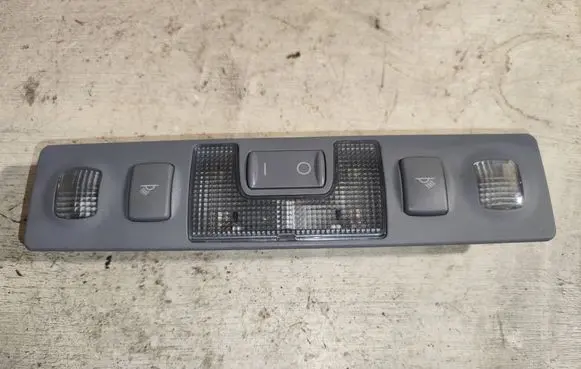 Rear seat light